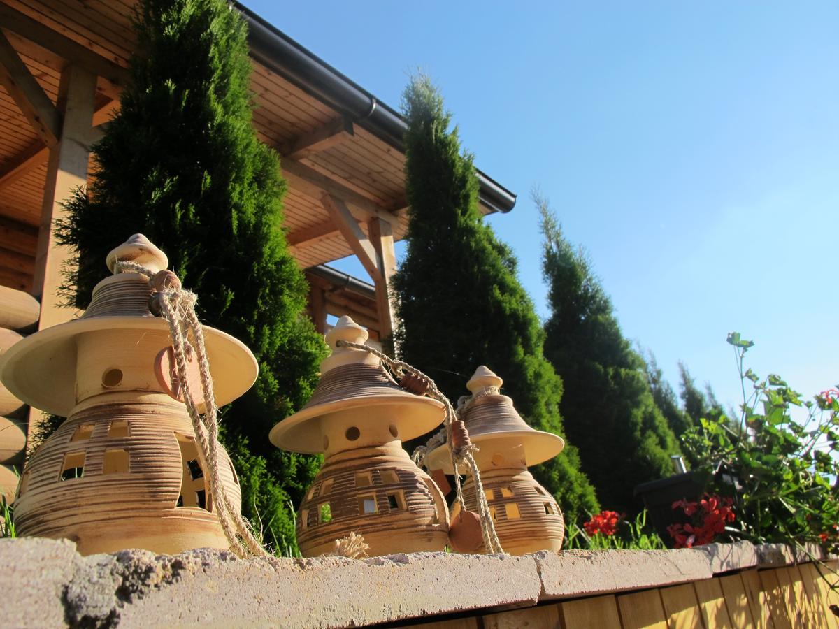Brvnare Bor Villa ซลาตีบอร์ ภายนอก รูปภาพ